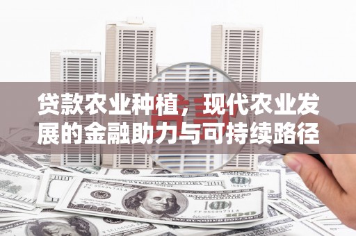 丰原贷款农业种植，现代农业发展的金融助力与可持续路径