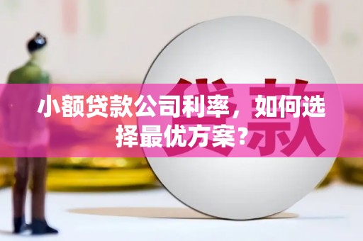 丰原小额贷款公司利率，如何选择最优方案？