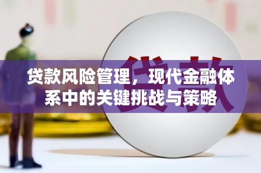 丰原贷款风险管理，现代金融体系中的关键挑战与策略