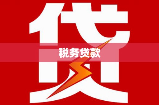 丰原税务贷款