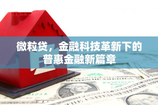 丰原微粒贷，金融科技革新下的普惠金融新篇章