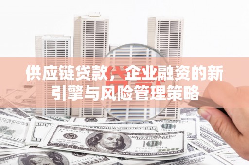 丰原供应链贷款，企业融资的新引擎与风险管理策略