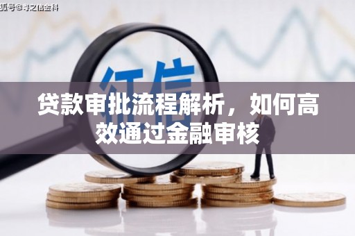 丰原贷款审批流程解析，如何高效通过金融审核