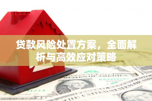 丰原贷款风险处置方案，全面解析与高效应对策略