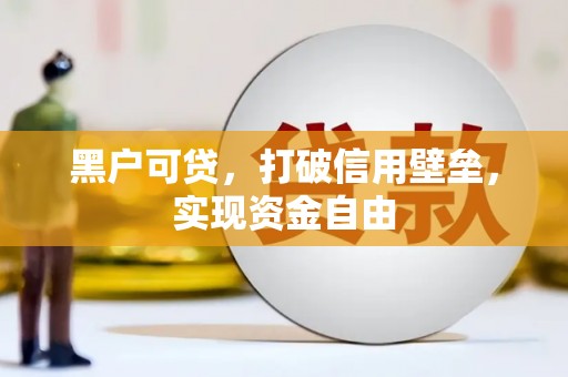 丰原黑户可贷，打破信用壁垒，实现资金自由