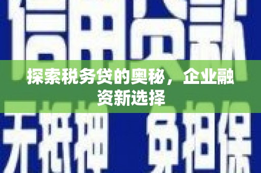 丰原探索税务贷的奥秘，企业融资新选择