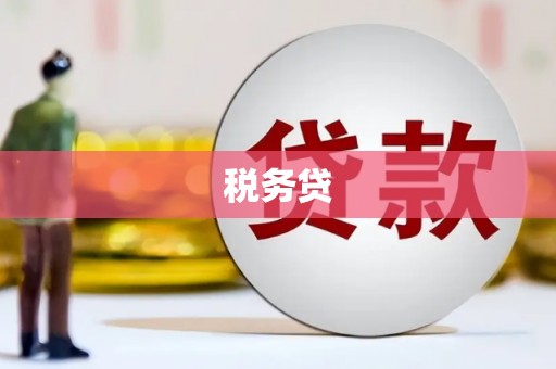 丰原税务贷