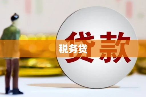 丰原税务贷