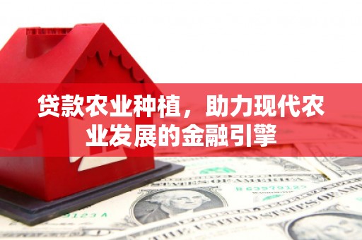 丰原贷款农业种植，助力现代农业发展的金融引擎