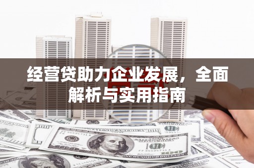 丰原经营贷助力企业发展，全面解析与实用指南