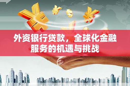 丰原外资银行贷款，全球化金融服务的机遇与挑战