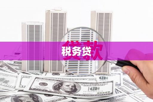丰原税务贷