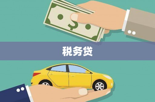 丰原税务贷