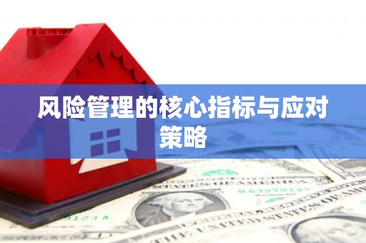 丰原风险管理的核心指标与应对策略