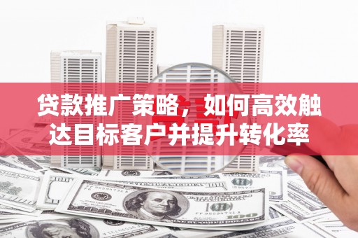 丰原贷款推广策略，如何高效触达目标客户并提升转化率