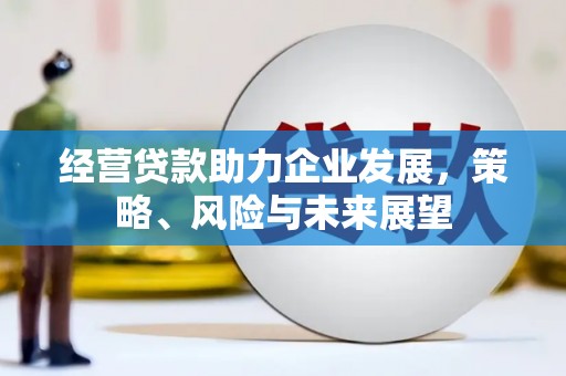 丰原经营贷款助力企业发展，策略、风险与未来展望