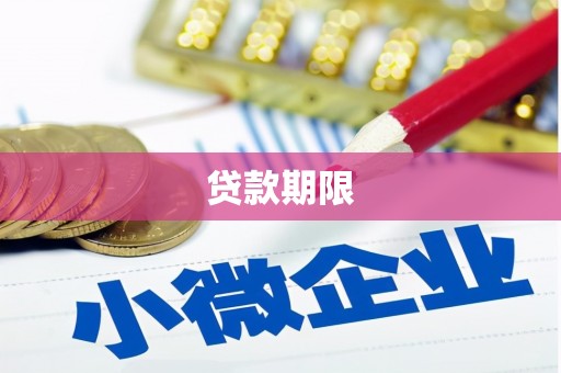 丰原贷款期限
