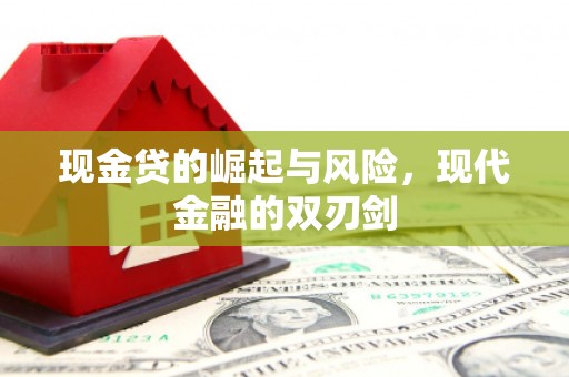 丰原现金贷的崛起与风险，现代金融的双刃剑