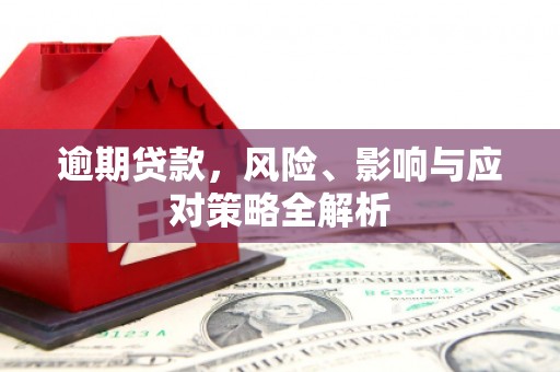 丰原逾期贷款，风险、影响与应对策略全解析