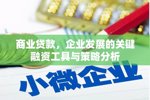 丰原商业贷款，企业发展的关键融资工具与策略分析