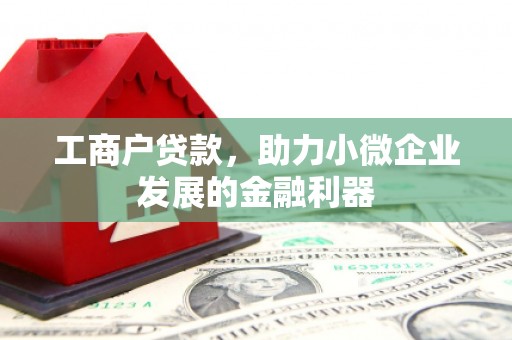 丰原工商户贷款，助力小微企业发展的金融利器