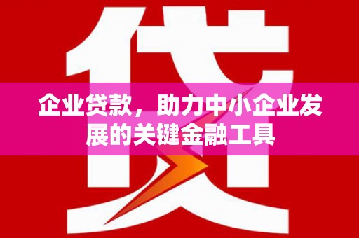 丰原企业贷款，助力中小企业发展的关键金融工具