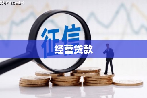 丰原经营贷款