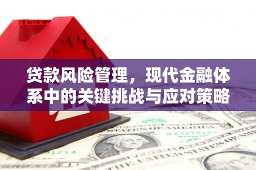 丰原贷款风险管理，现代金融体系中的关键挑战与应对策略