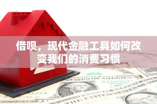 丰原借呗，现代金融工具如何改变我们的消费习惯