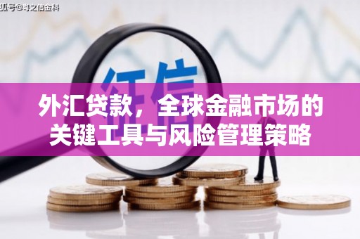 丰原外汇贷款，全球金融市场的关键工具与风险管理策略