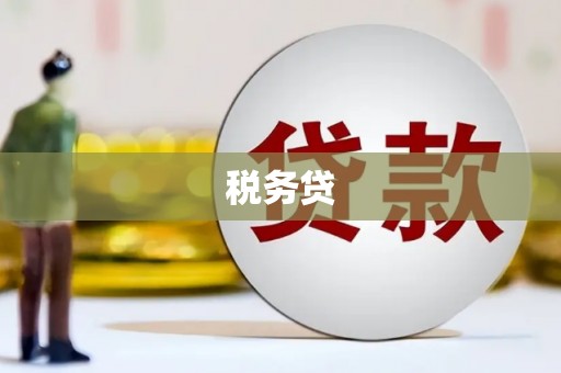 丰原税务贷