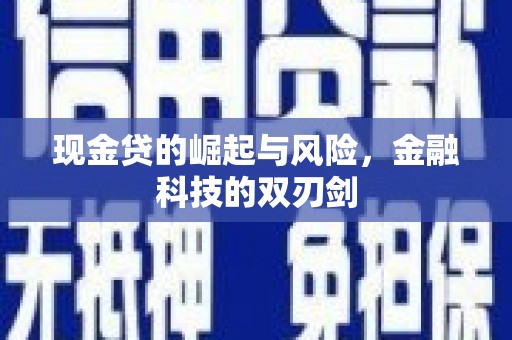 丰原现金贷的崛起与风险，金融科技的双刃剑