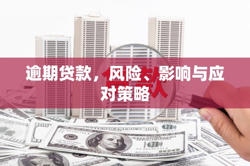 丰原逾期贷款，风险、影响与应对策略