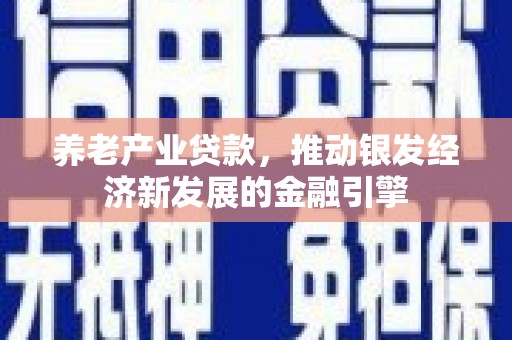 丰原养老产业贷款，推动银发经济新发展的金融引擎