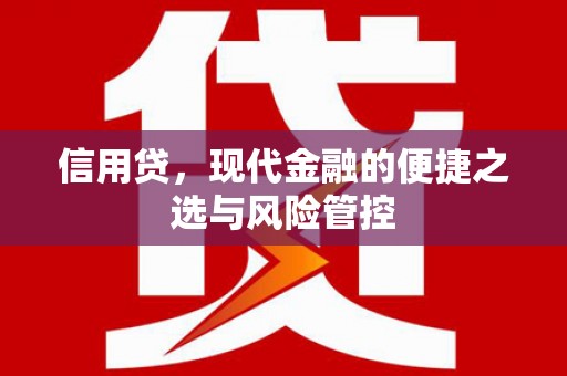 丰原信用贷，现代金融的便捷之选与风险管控