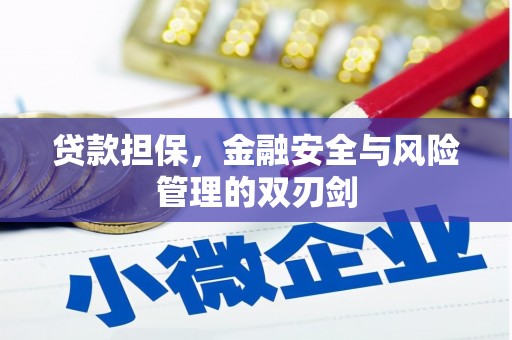 丰原贷款担保，金融安全与风险管理的双刃剑