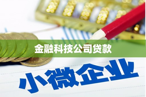 丰原金融科技公司贷款