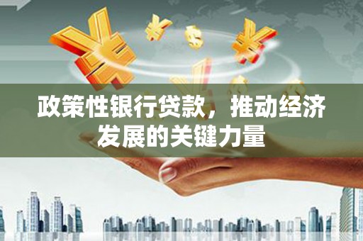 丰原政策性银行贷款，推动经济发展的关键力量