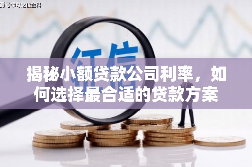 丰原揭秘小额贷款公司利率，如何选择最合适的贷款方案
