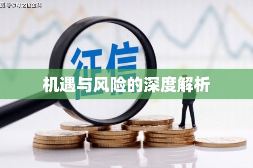 丰原机遇与风险的深度解析