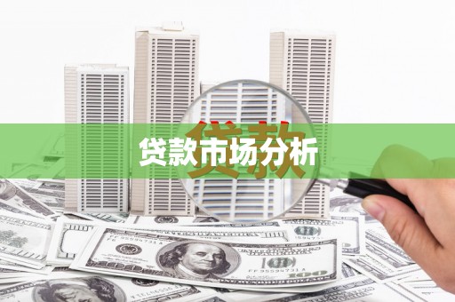 丰原贷款市场分析