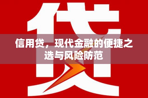 丰原信用贷，现代金融的便捷之选与风险防范