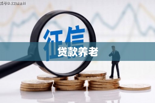 丰原贷款养老