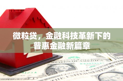 丰原微粒贷，金融科技革新下的普惠金融新篇章