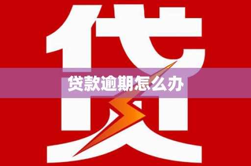丰原贷款逾期怎么办