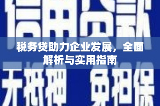 丰原税务贷助力企业发展，全面解析与实用指南