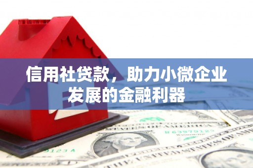 丰原信用社贷款，助力小微企业发展的金融利器