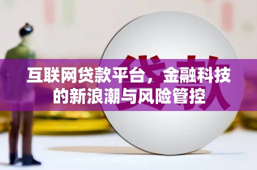 丰原互联网贷款平台，金融科技的新浪潮与风险管控