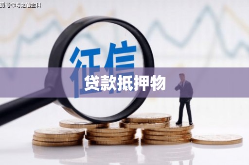 丰原贷款抵押物