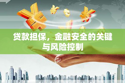 丰原贷款担保，金融安全的关键与风险控制